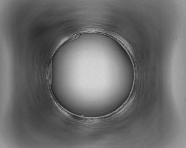 X0000112411385200908141016