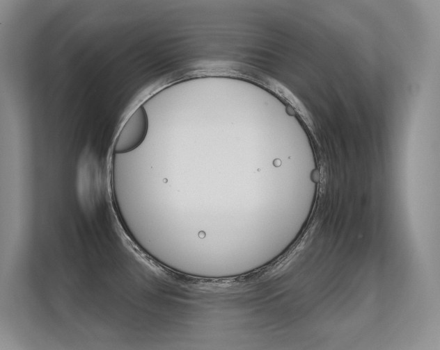 X0000112411386200908141016