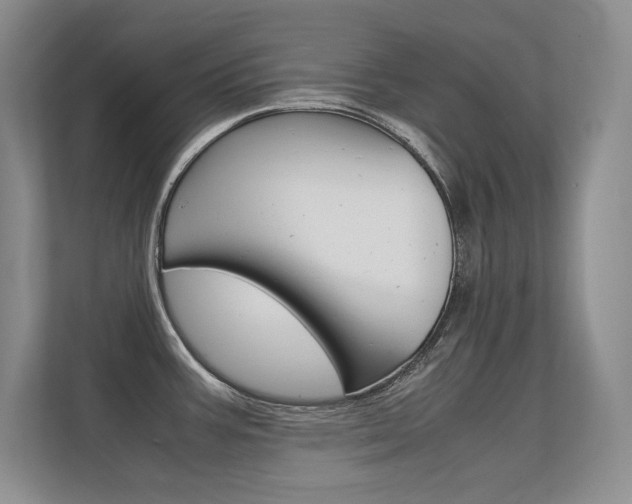 X0000112411387200908141016