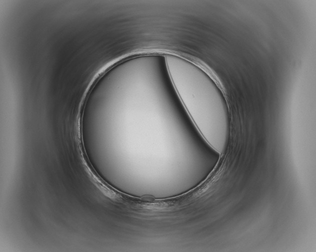 X0000112411388200908141016