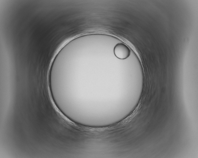X0000112411389200908141016