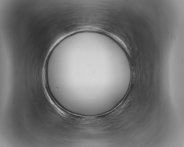 X0000112411391200908141016