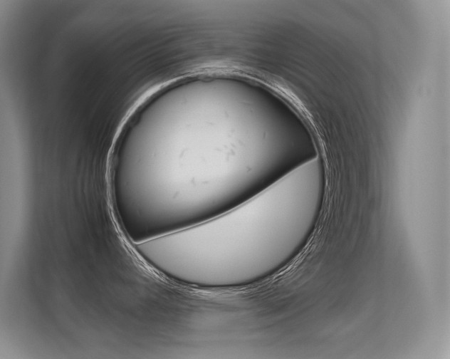 X0000112411392200908141016