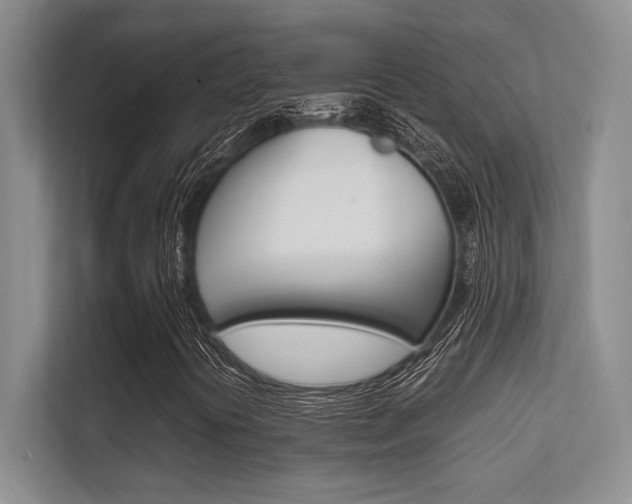 X0000112411394200908141016