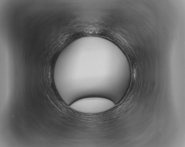X0000112411396200908141016