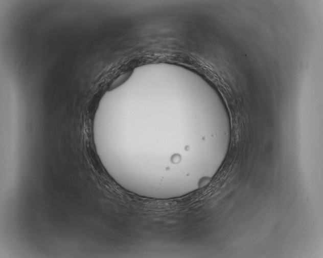 X0000112411397200908141016
