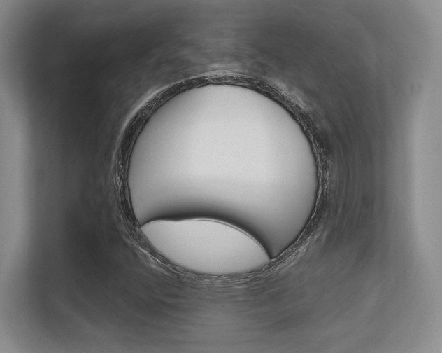X0000112411400200908141016