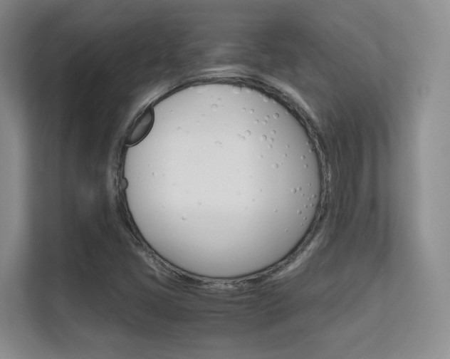 X0000112411405200908141016