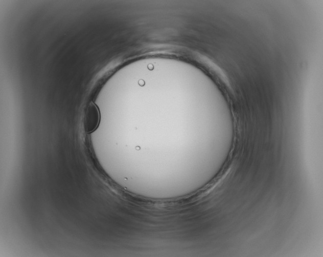 X0000112411411200908141016