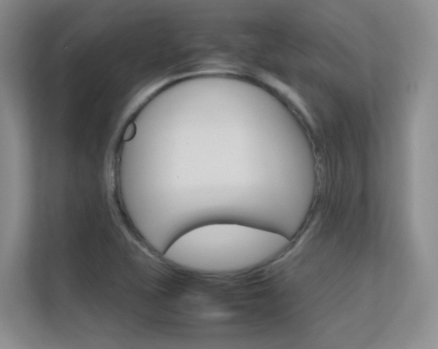 X0000112411415200908141016