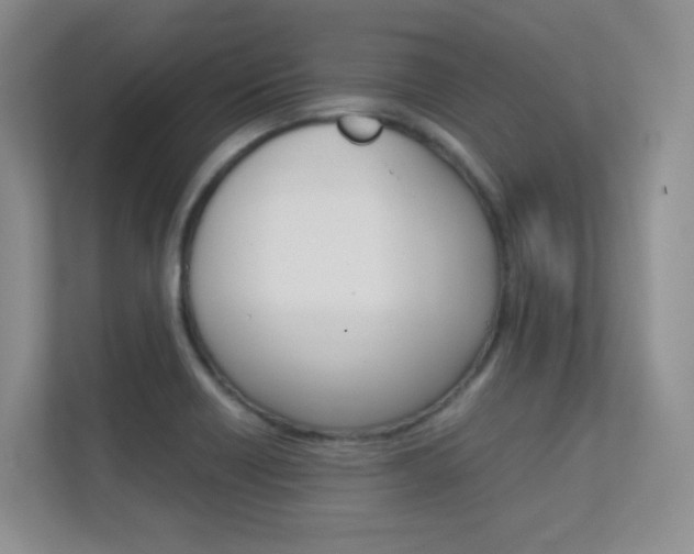 X0000112411418200908141016