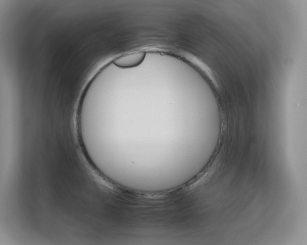 X0000112411423200908141016