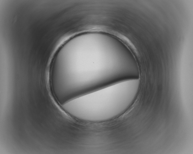 X0000112411424200908141016