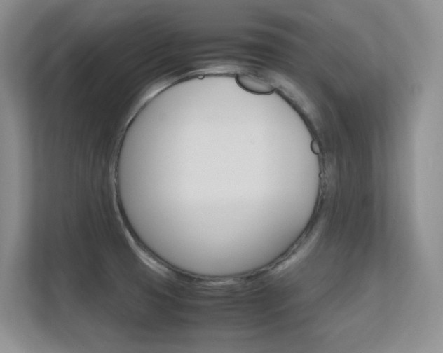 X0000112411425200908141016