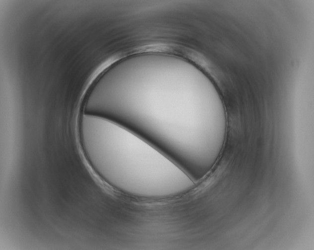 X0000112411426200908141016