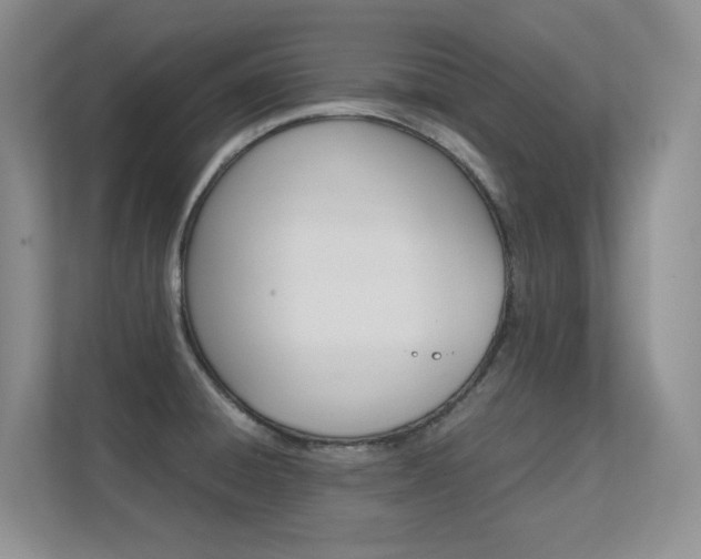 X0000112411428200908141016