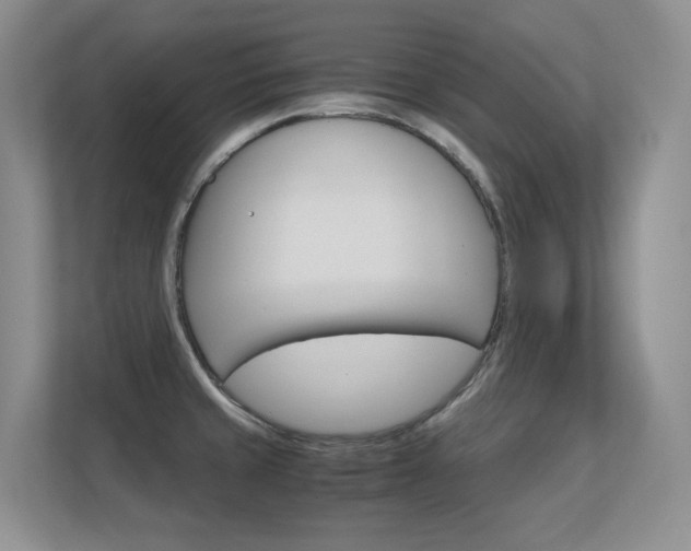 X0000112411429200908141016