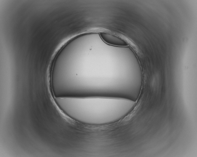 X0000112411430200908141016
