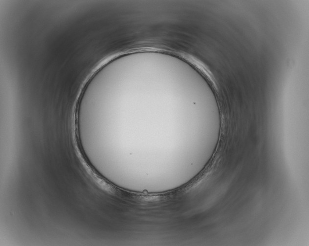 X0000112411431200908141016