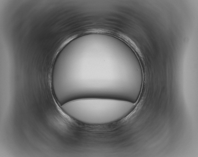 X0000112411433200908141016