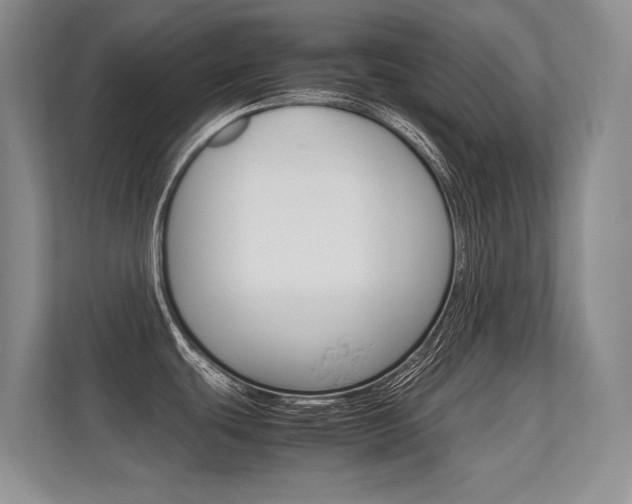 X0000112411439200908141016