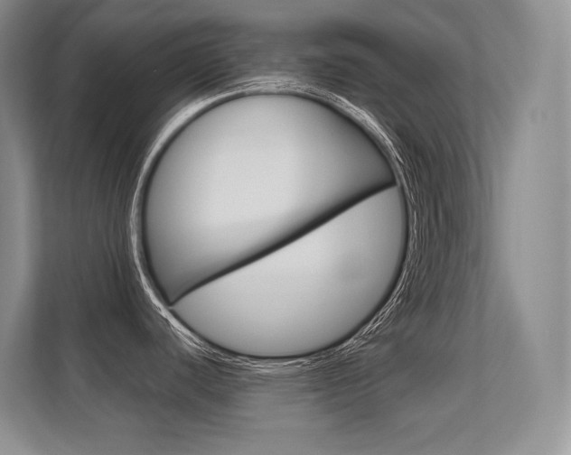 X0000112411440200908141016