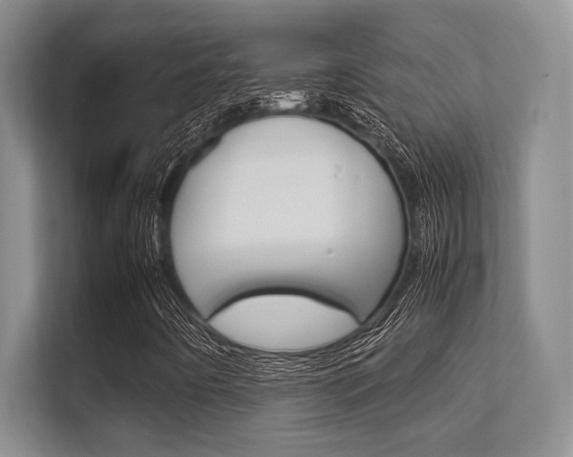 X0000112411442200908141016
