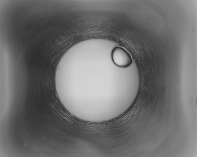 X0000112411444200908141016