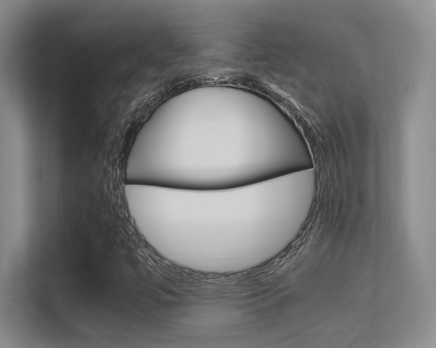 X0000112411447200908141016
