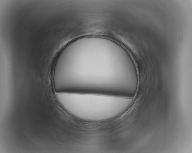 X0000112411455200908141016