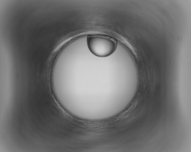 X0000112411456200908141016