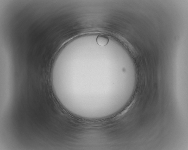 X0000112411457200908141016