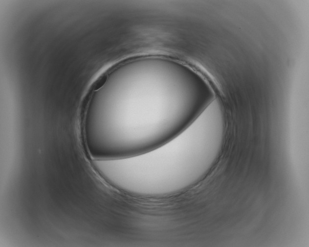 X0000112411460200908141015