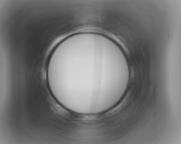 X0000112411462200908141015