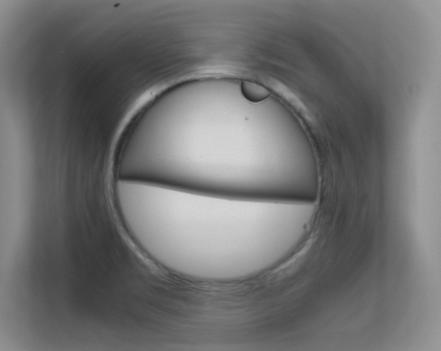 X0000112411469200908141015