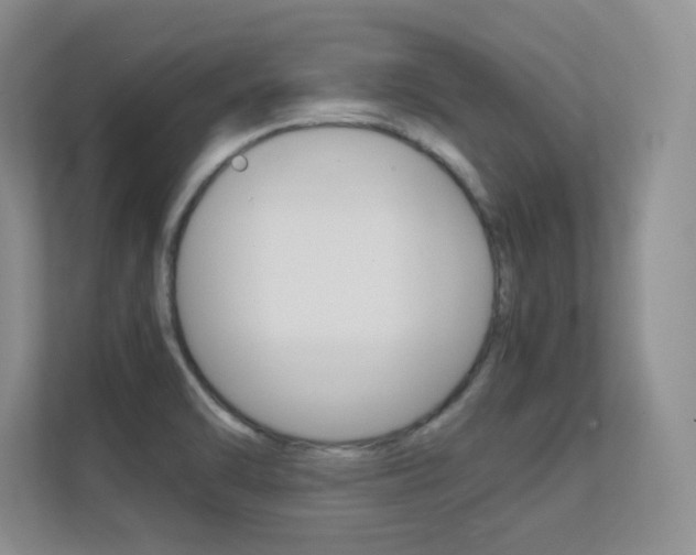 X0000112411470200908141015