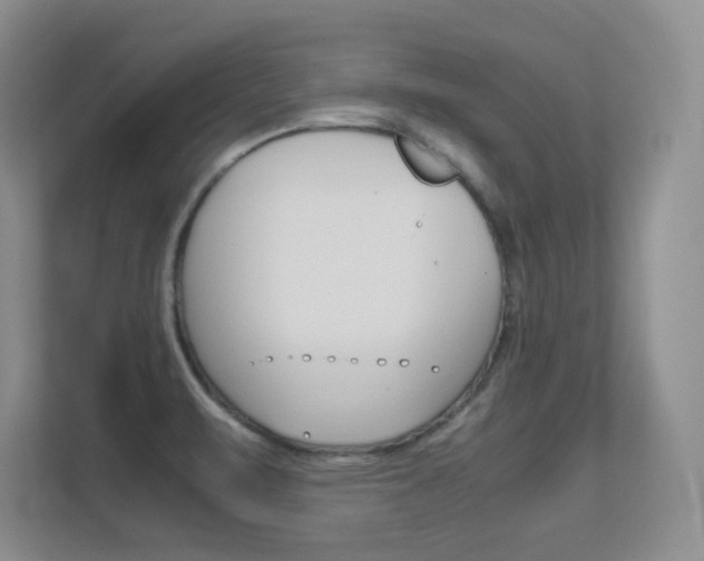 X0000112411471200908141015