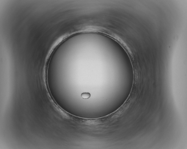 X0000112411480200908141015