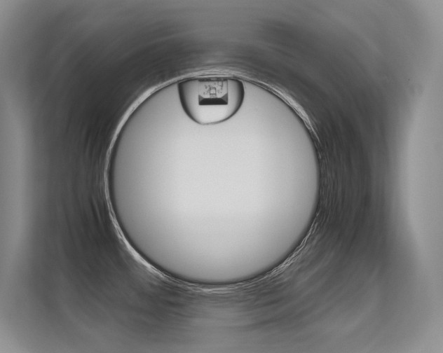 X0000112411484200908141015
