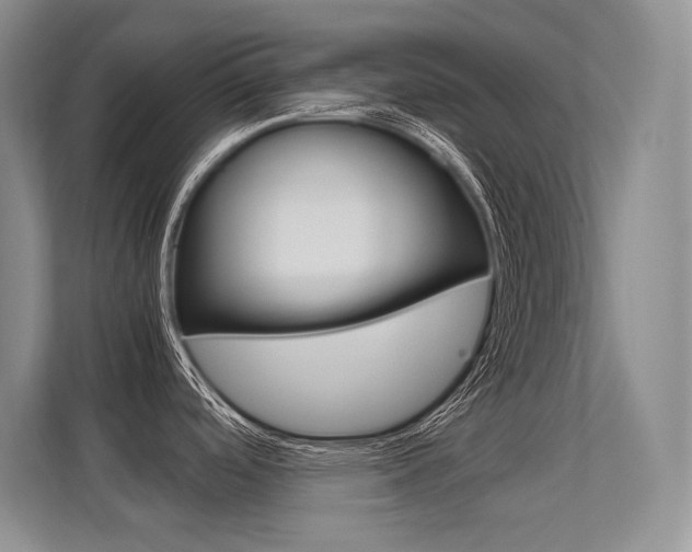 X0000112411488200908141015