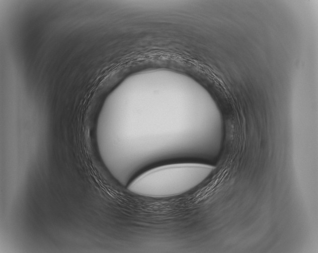 X0000112411489200908141015