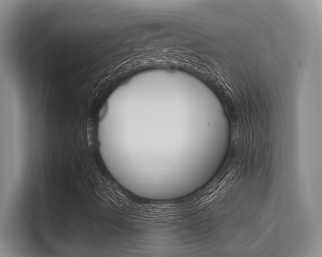 X0000112411490200908141015