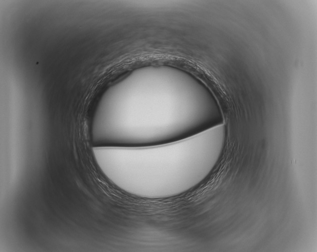 X0000112411492200908141015