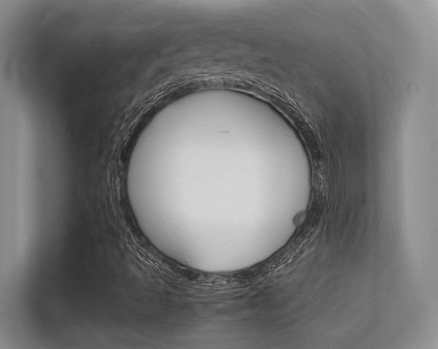 X0000112411493200908141015