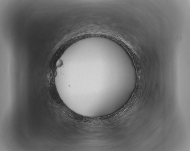 X0000112411495200908141015