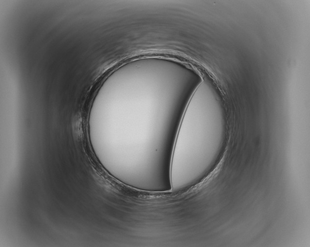 X0000112411497200908141015