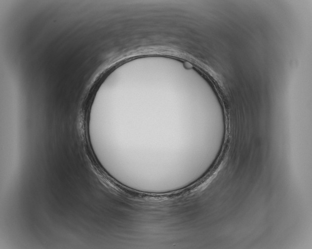 X0000112411498200908141015
