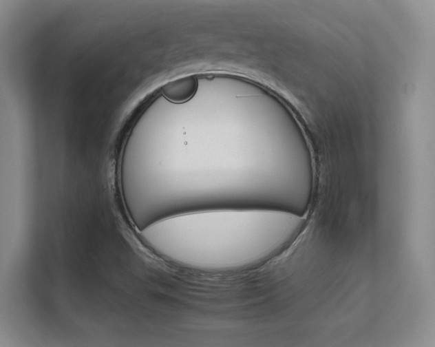 X0000112411503200908141015
