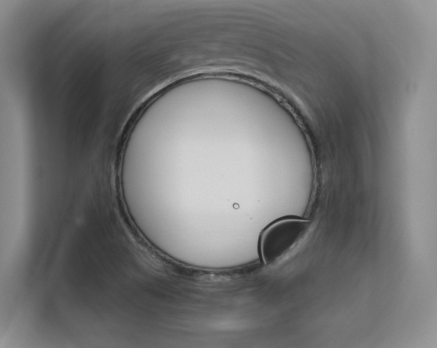 X0000112411505200908141015