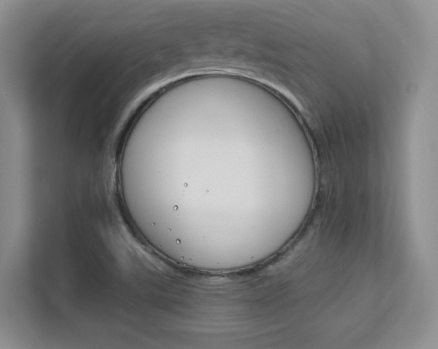 X0000112411507200908141015
